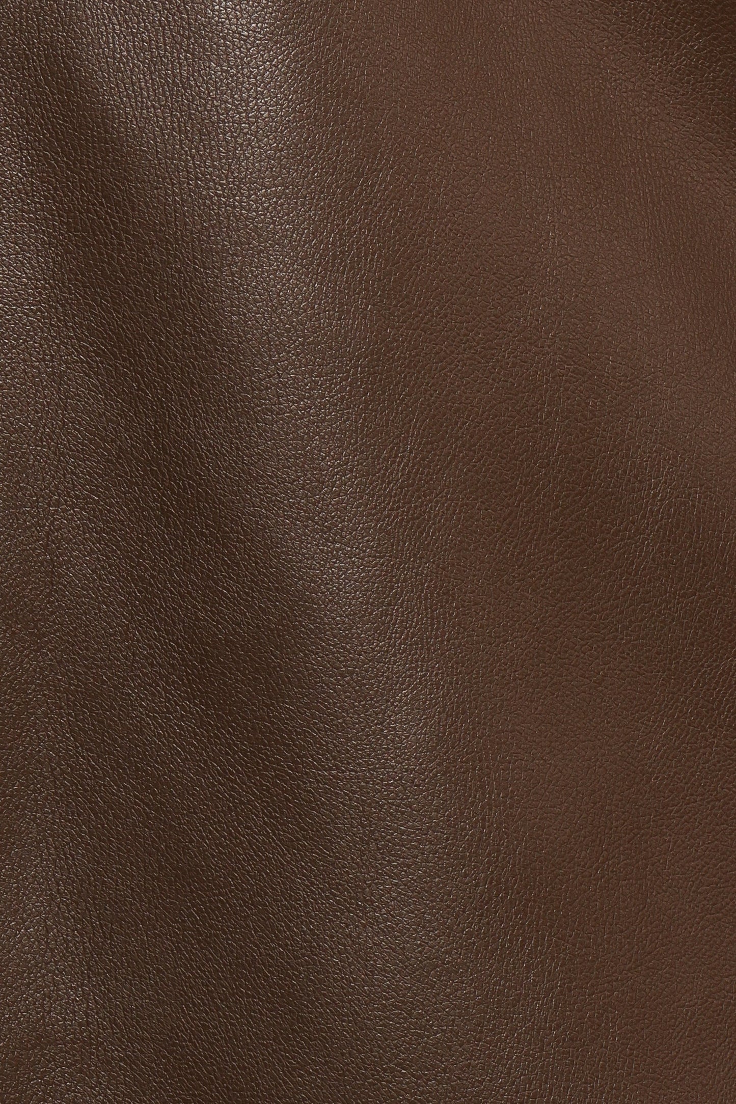 Haelee Faux Leather Skirt Brown
