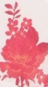 Achelle Maxi Dress Red Floral