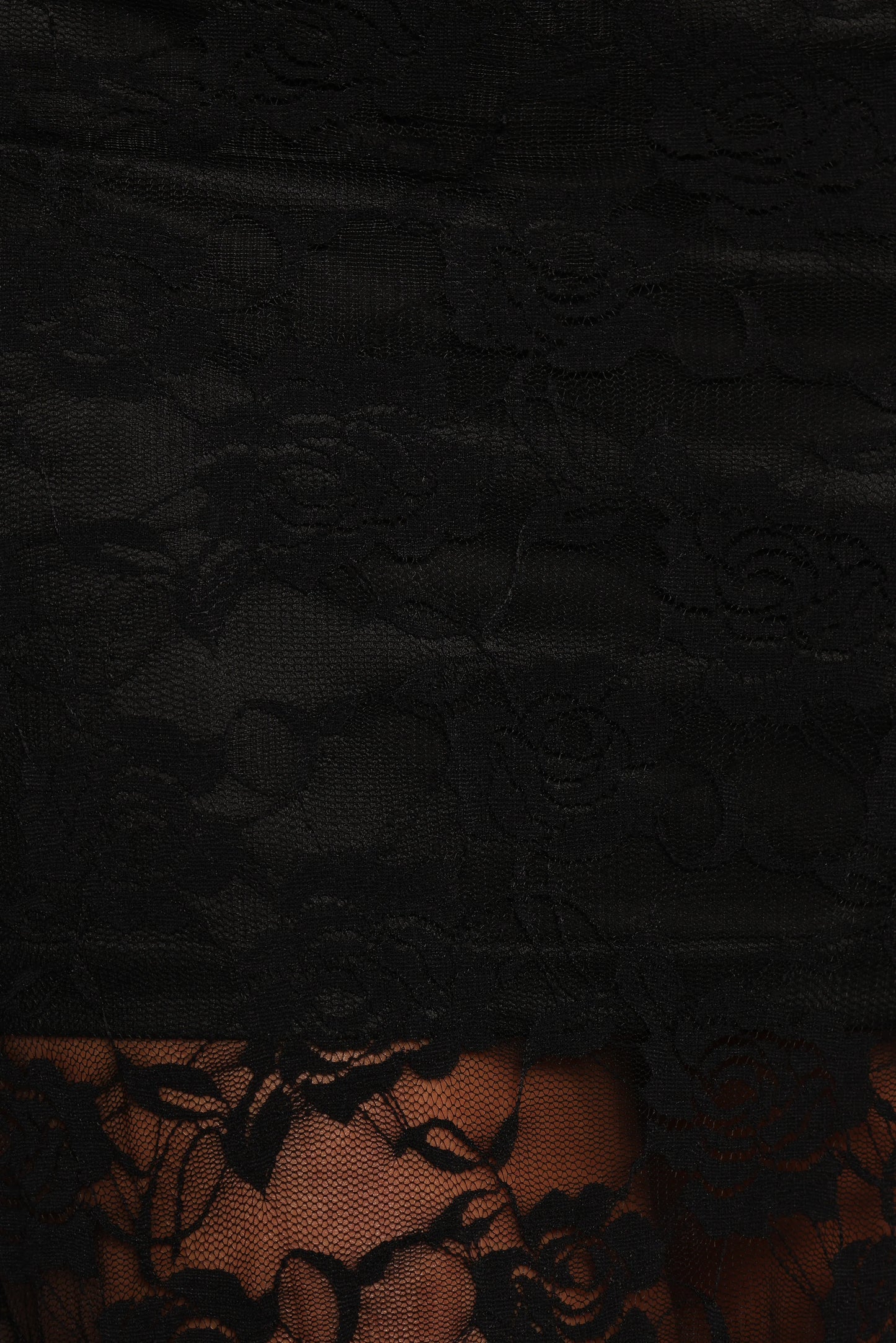 Laken Sheer Lace Maxi Skirt Black