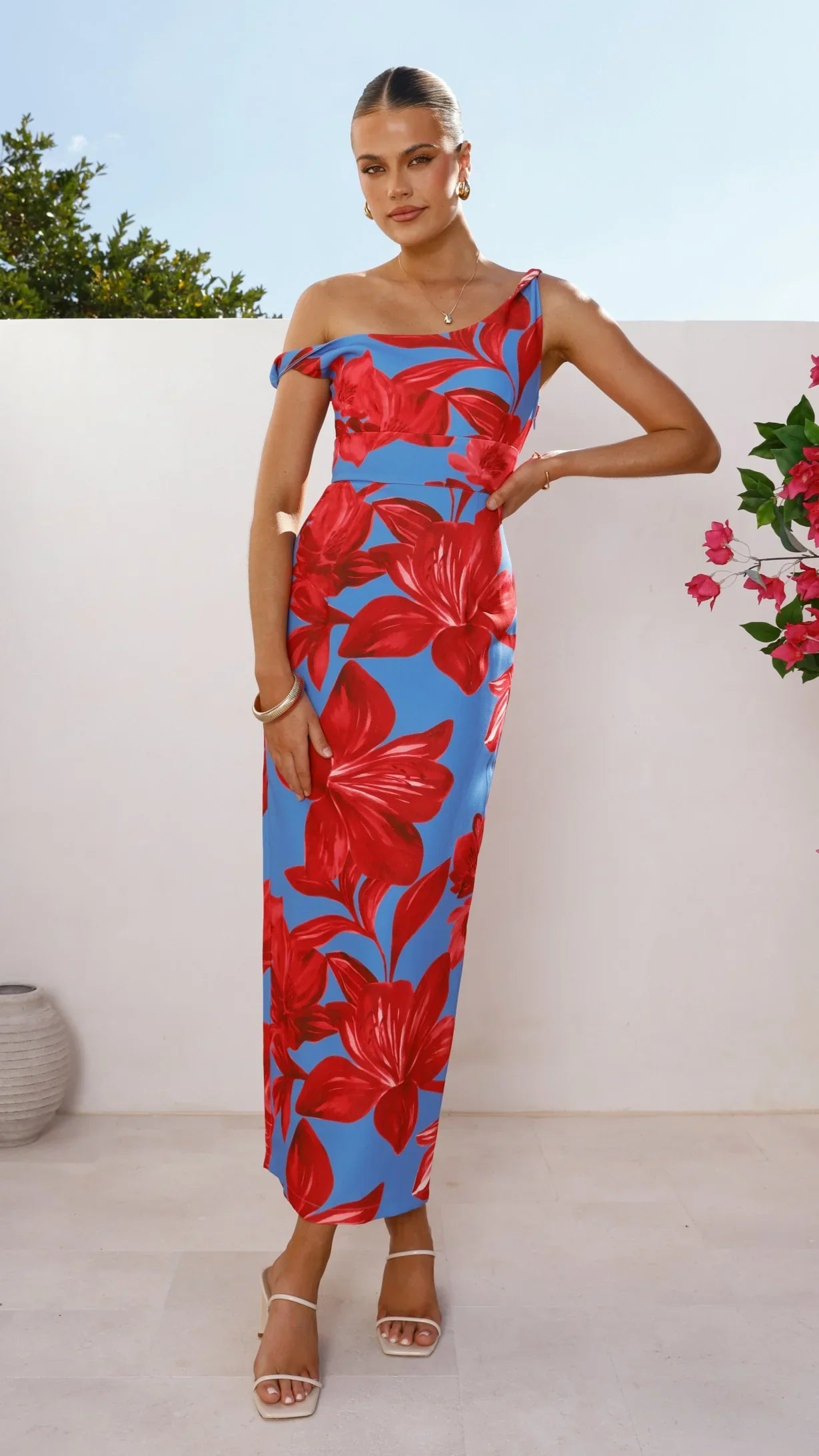 Lorina Maxi Dress Red Blue Floral