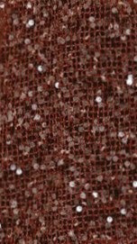 Zinnia Sequins Pant Rust