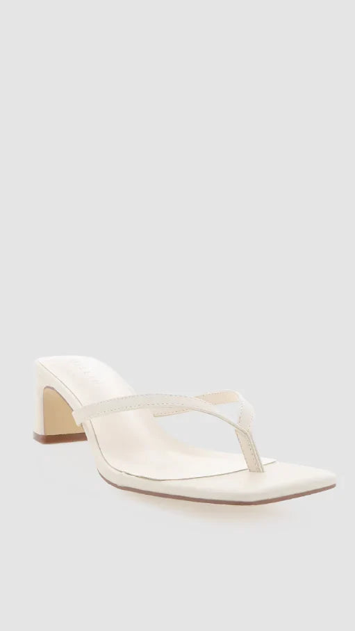 Gulliver Heel Bone