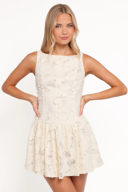 Briar Lace Mini Dress Cream