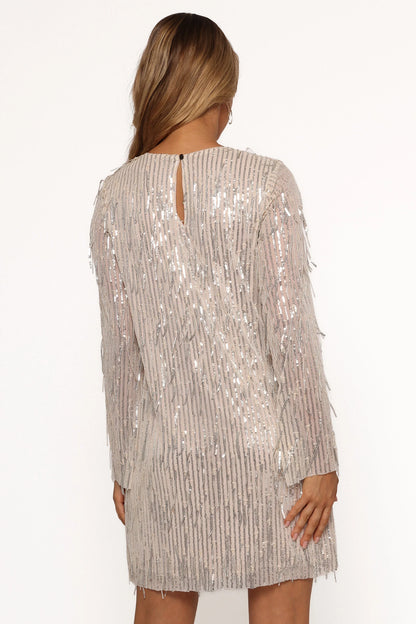 Serena Sequin Mini Dress Nude Silver