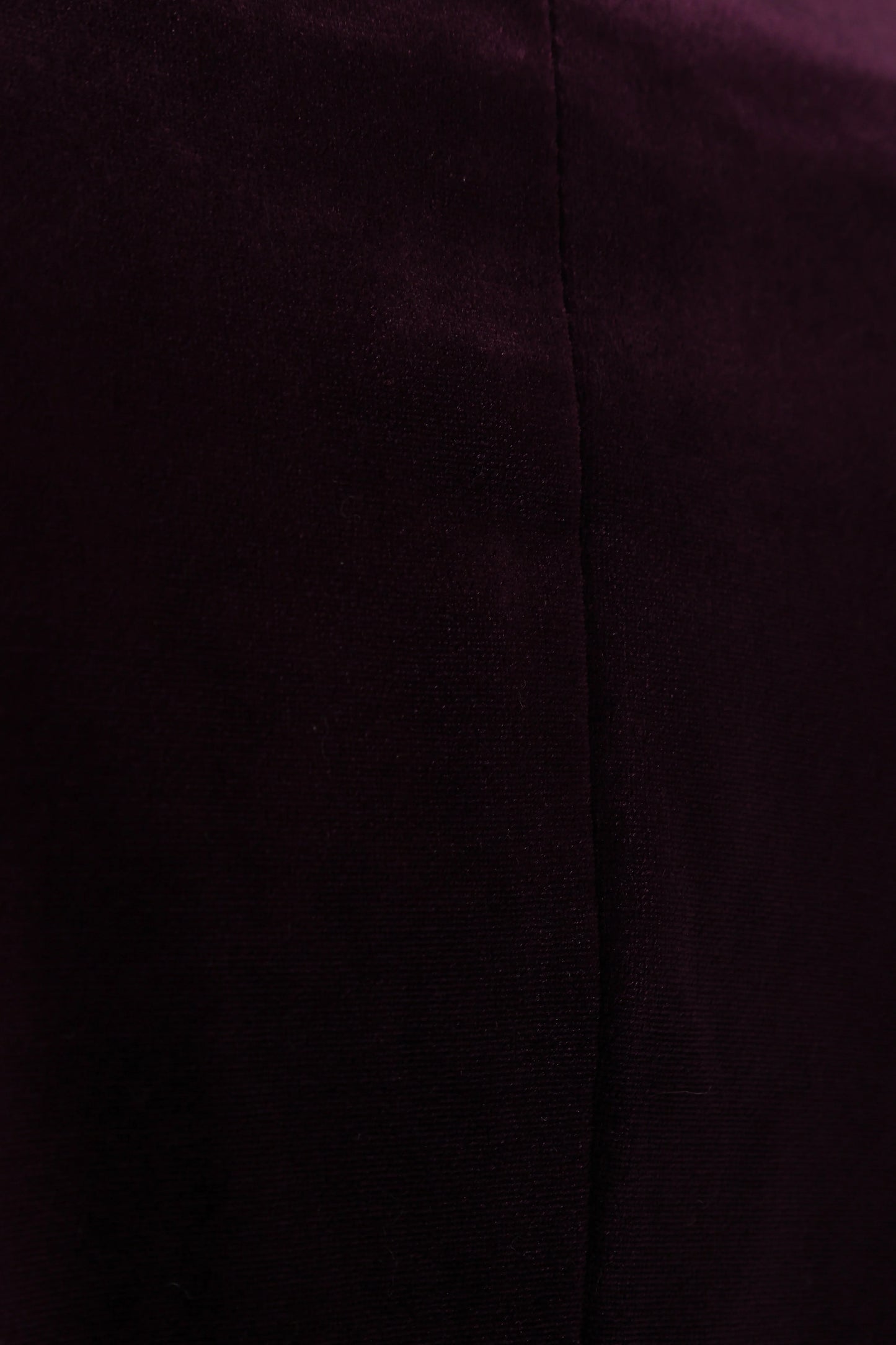 Vera Velvet Blazer Plum