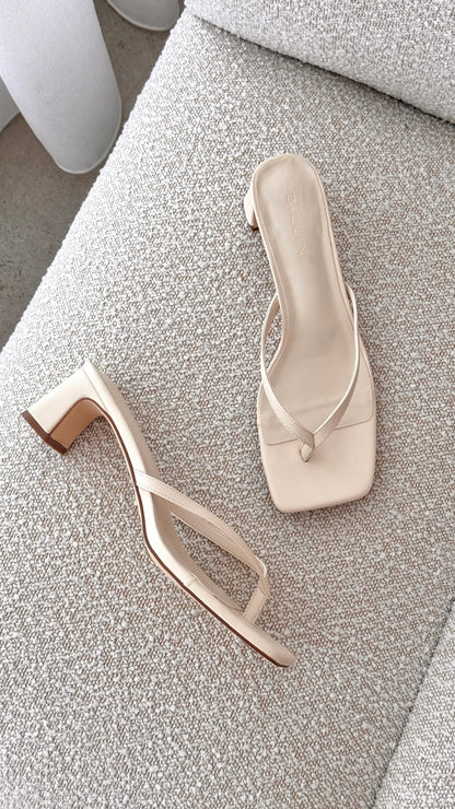 Gulliver Heel Bone
