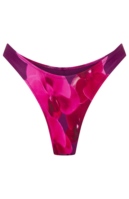 Belmont Bottoms Paradise Bloom