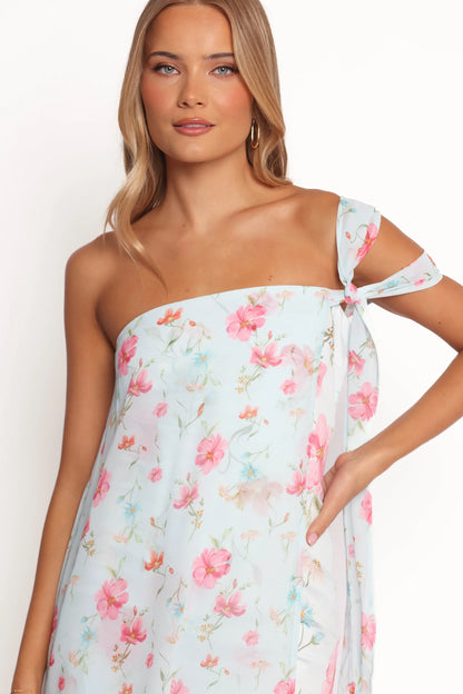 Eloisa Maxi Dress Blue Floral