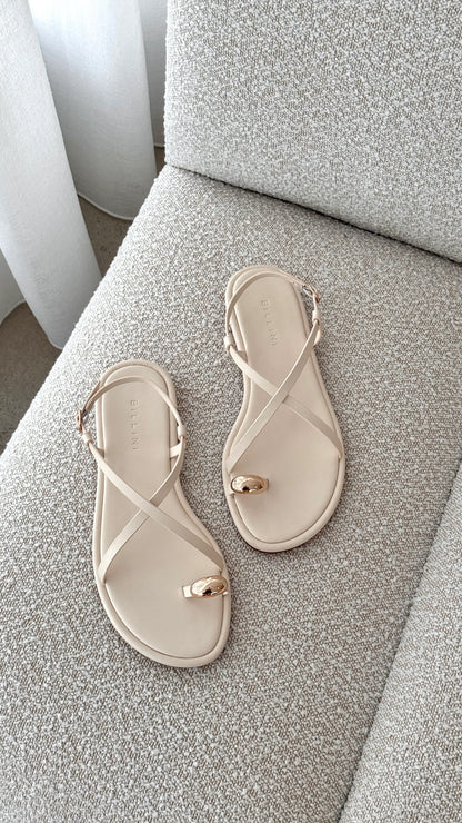 Chandra Sandal Bone