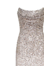 Entrance worthy semi sheer sequined silver maxi dress Midnight Walk