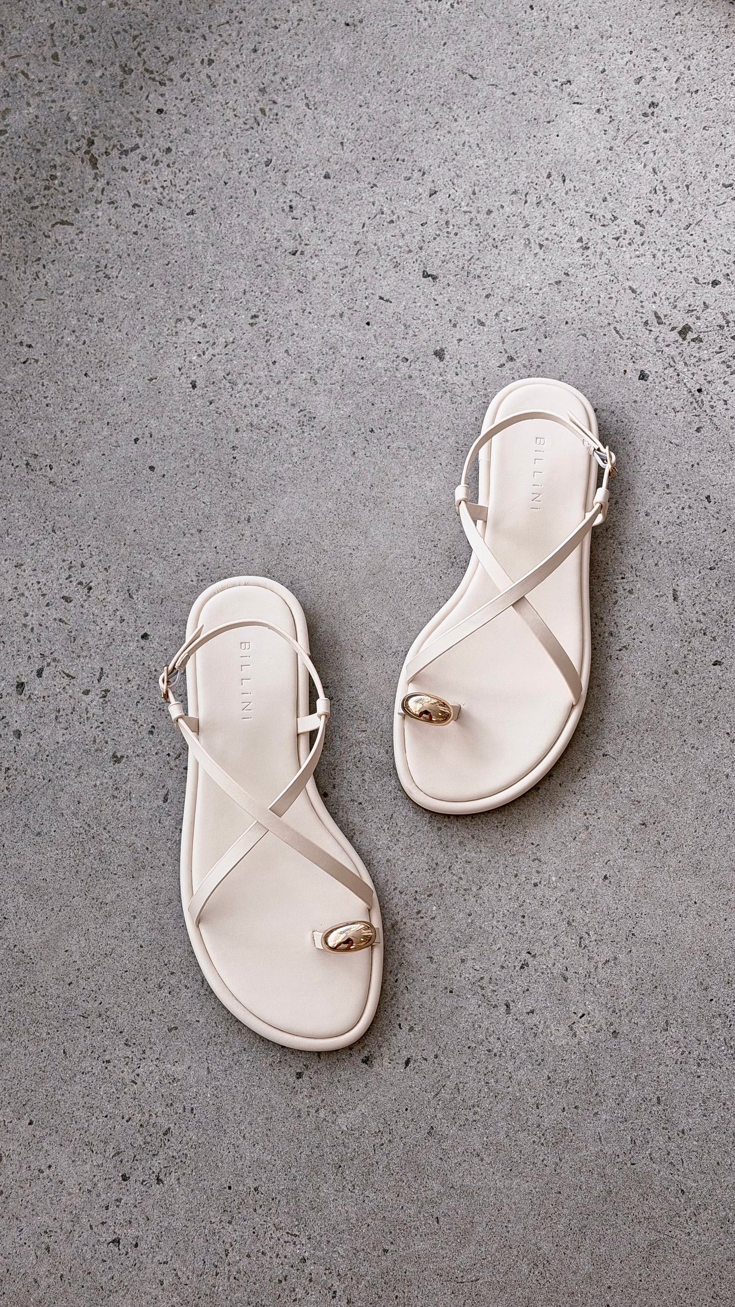 Chandra Sandal Bone