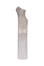 Entrance worthy semi sheer sequined silver maxi dress Midnight Walk