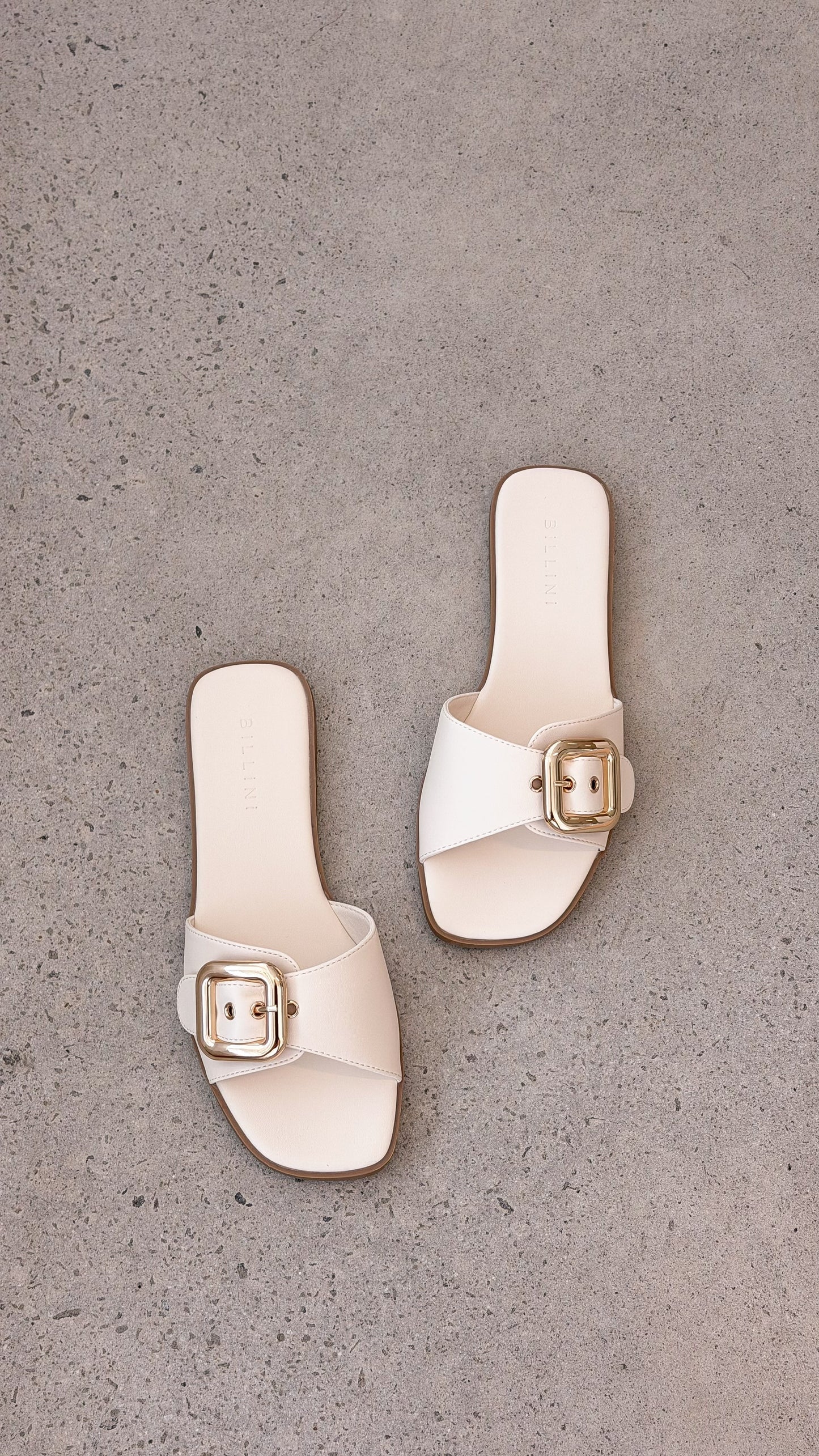 Vasili Slides Bone
