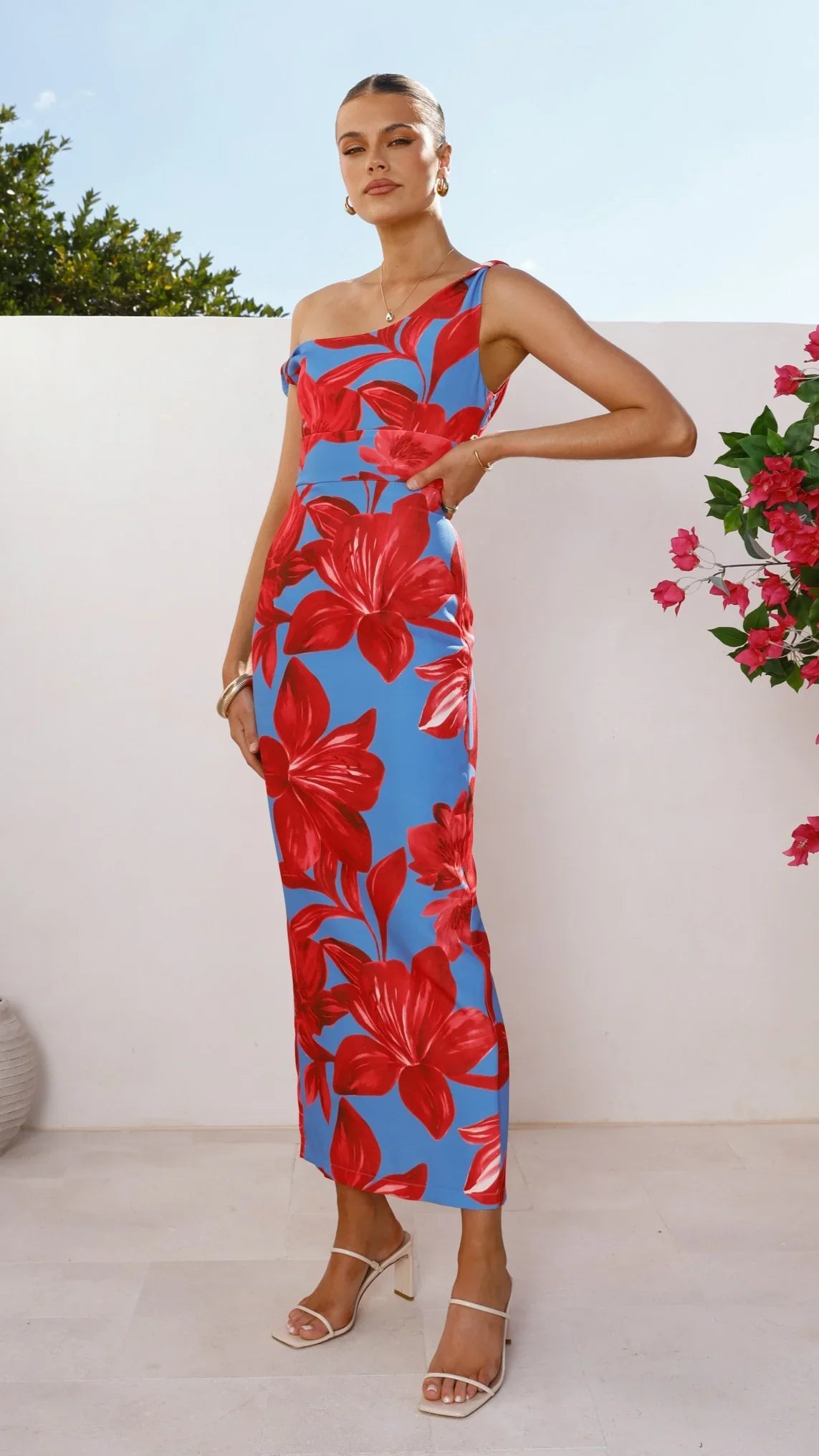 Lorina Maxi Dress Red Blue Floral