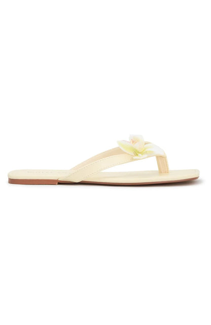 Lathan Orchid Thong Sandals Lemon