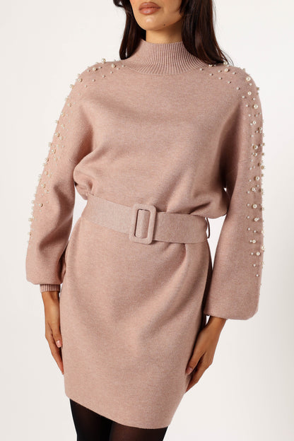 Maeve Long Sleeve Mini Dress Mocha